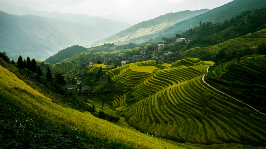 Longji Terraced Fields Culture - Thousand-year agricultural civilization